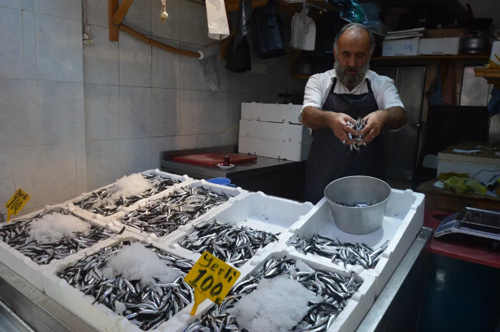 SİNOP HAMSİSİ 100 LİRA