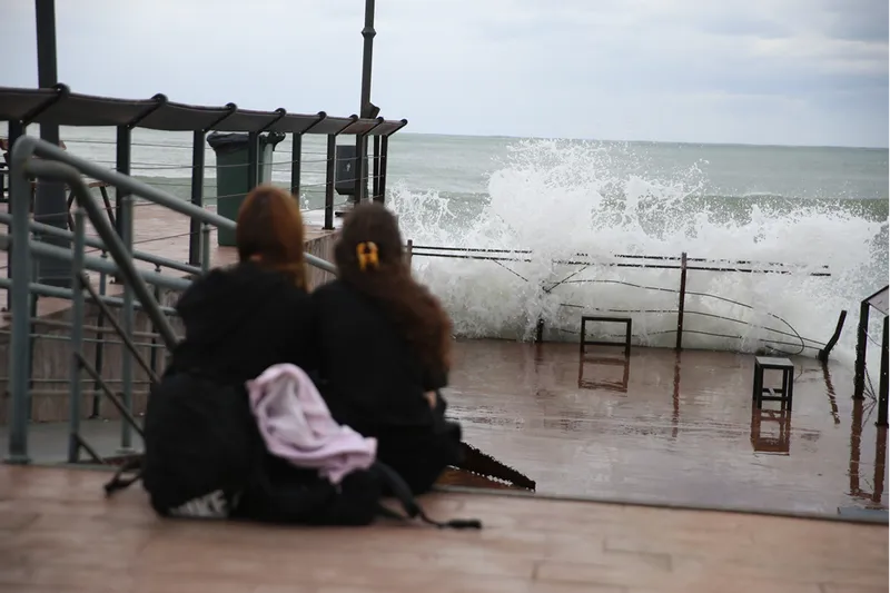 Ordu
