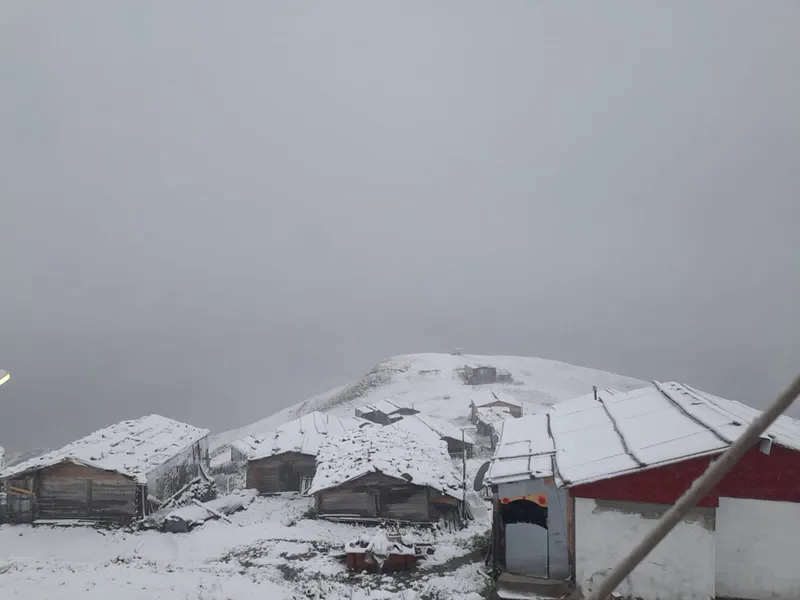 Artvin