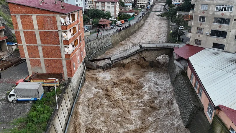 Artvin Borçka