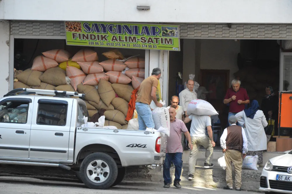 FINDIKTA GÜNCEL TABLO