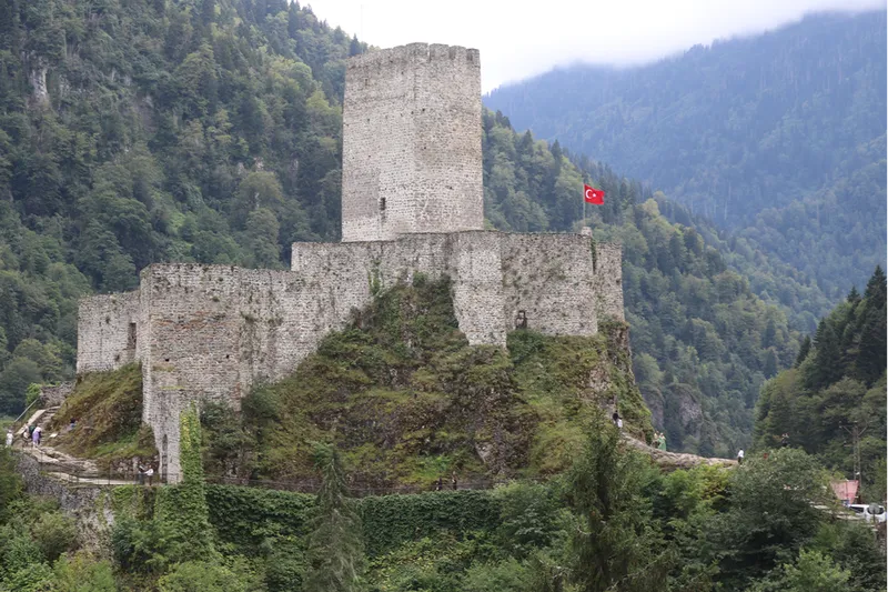 Rize