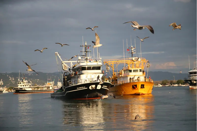 Karadeniz
