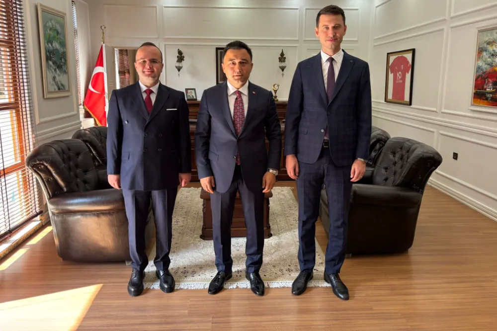 KAYMAKAMLAR İSTİŞARESİ