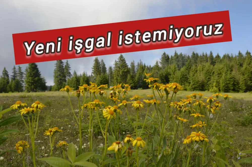 KAYABAŞI YAYLASI İÇİN ‘İŞGAL’ TEPKİSİ